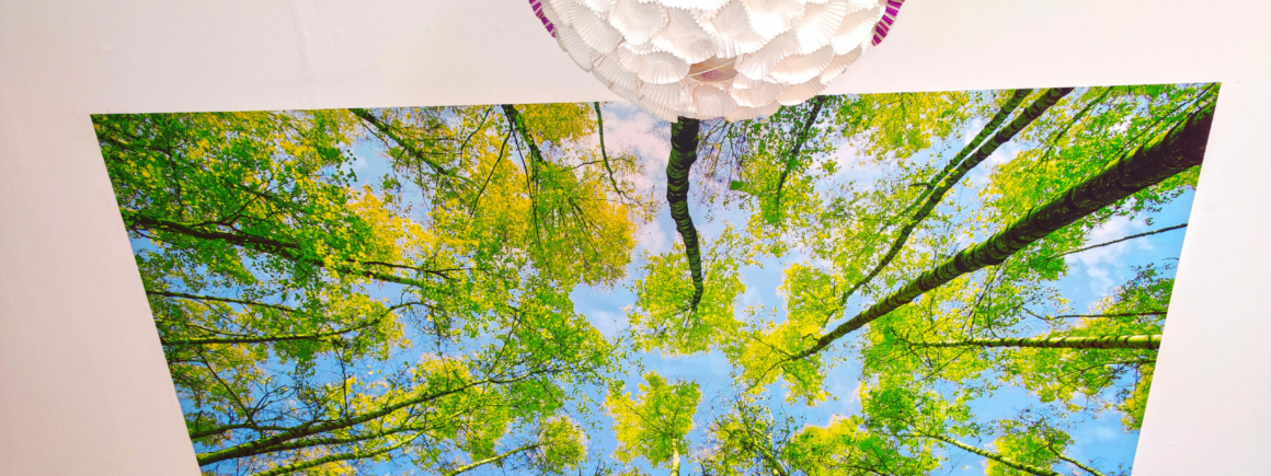 Käsküche Bernbeuren obere Fewo Deckenbild